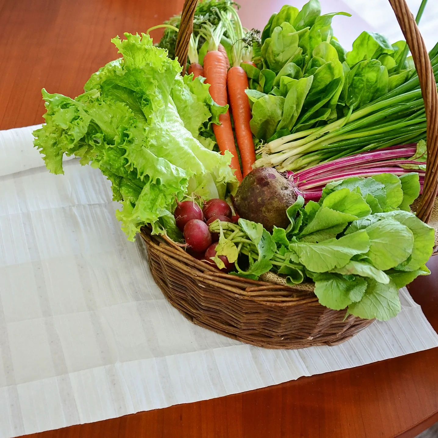 SPRING GARDEN SEED MAT