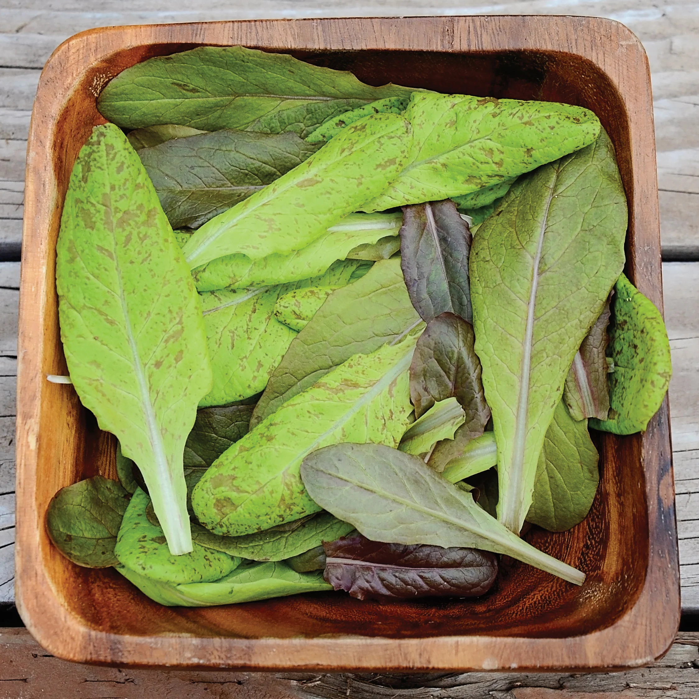 GARDEN HEIRLOOM BLEND