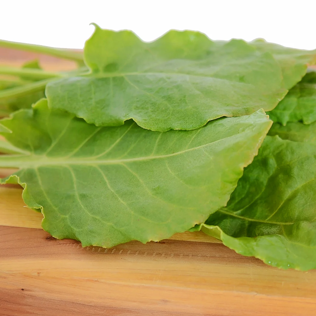 FRENCH SORREL