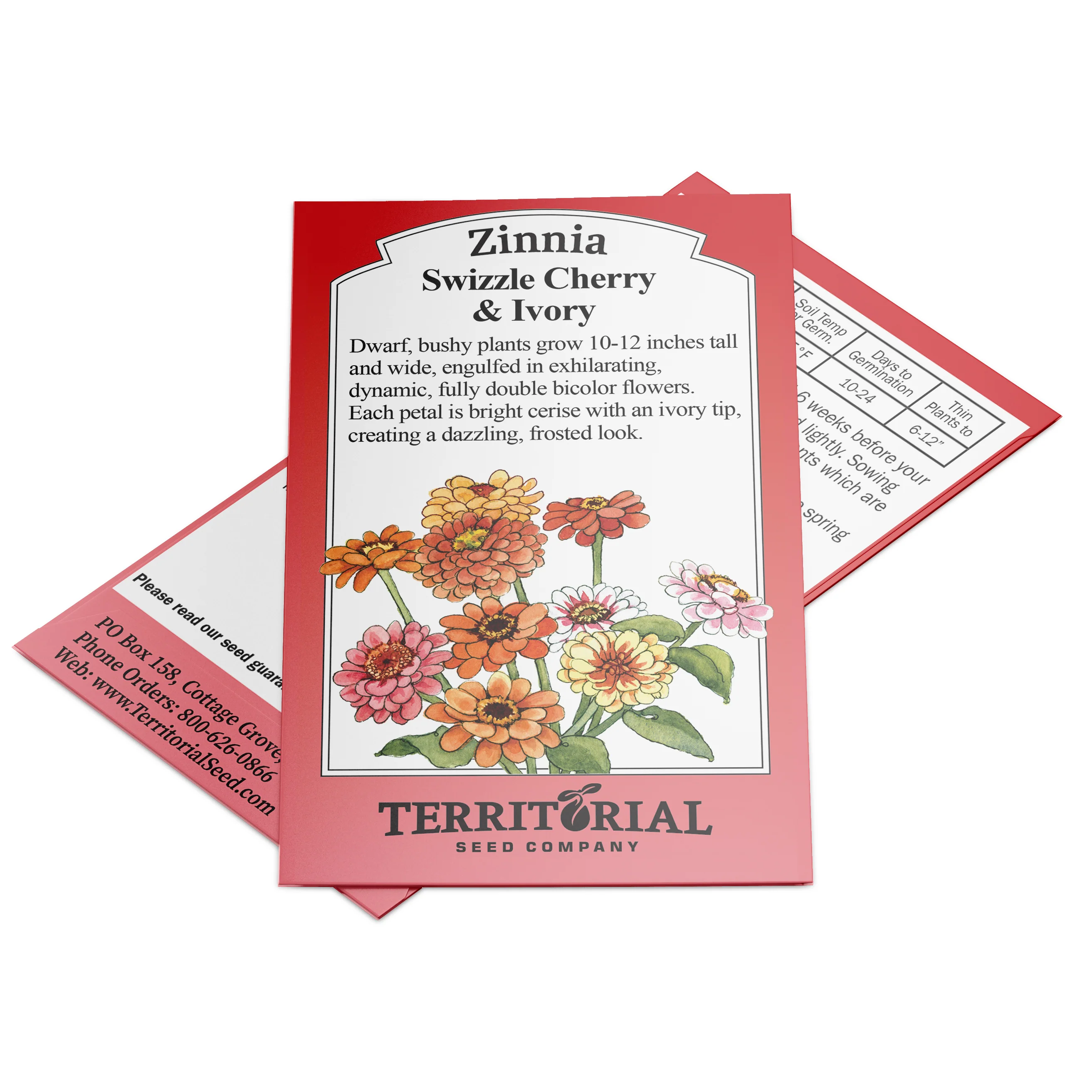 SWIZZLE CHERRY & IVORY - Image 3